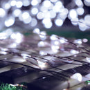 10M 100 LED String Light USB Fairy Night Lamps Holiday Christmas Decor + Remote Control