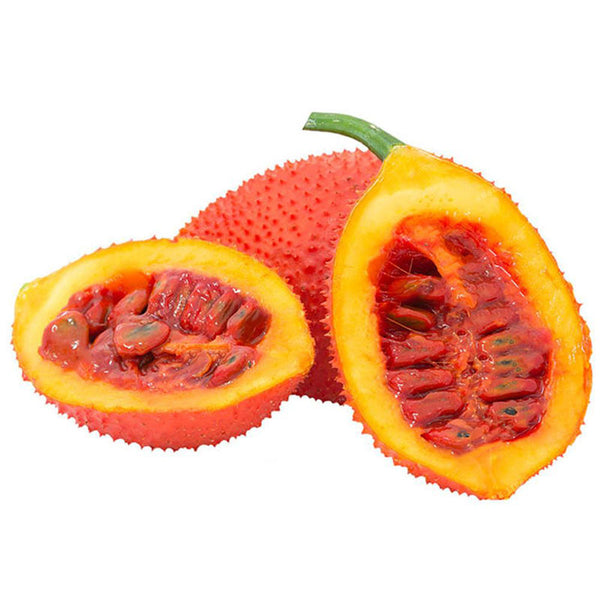 Egrow 10 Pcs/Pack Bitter Melon Seeds Fruit Bonsai Momordica Cochinchinensis Bonsai Spreng Cochinchin Gourd Non-GMO Fruit Plant