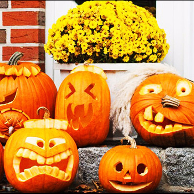 Egrow 50Pcs/Pack Pumpkin Seeds Halloween Decorating Pumpkin Rare Vegetable Bonsai Plant For Home Garden