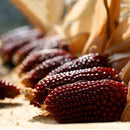 Egrow 500Pcs/Pack Jackfruit Strawberry Seeds Garden Plants Fruit Seeds