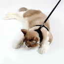 Adjustable Pet Lead Leash Cat Dog Harness And Soft Mesh Walking Harness Vest Apparel