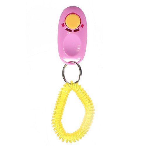 Clicker Training Dressage for Pets - pink