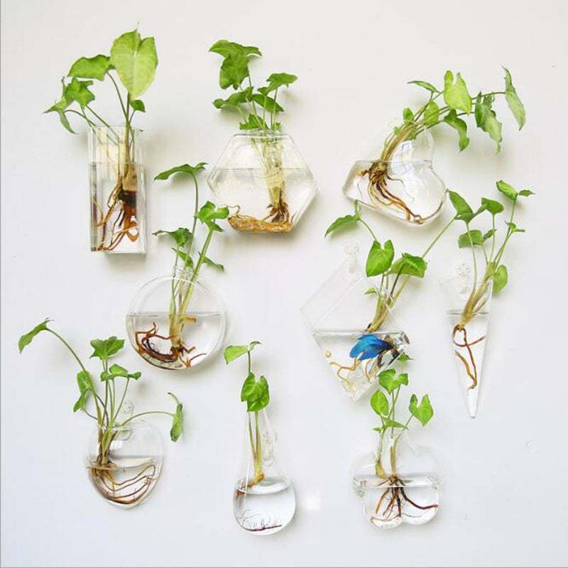 Irregular Wall Hanging Glass Planter Air Plant Terrarium Flower Pots Vase