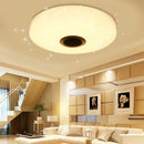 36W RGBW Starlight LED Ceiling Lamp Music Light bluetooth for Bedroom Home AC220V / AC110-240V