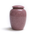 Ice Cracked Glaze Cremation Urns Funeral Keepsake Pet Dog Cat Cremation Urn