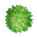 10Pcs PVC Artificial Succulent Flocking Plants Foliage  Landscape Garden Decorations