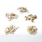 Loskii JM01543 150PCS Blank Wood Halloween Party Owl Skull Bat Pumpkin Cat Spider Halloween Decorations