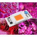 LUSTREON 50W Non-drive Thunder Protection COB LED Chip for DIY Grow Light Plant Lamp AC180-300V