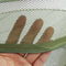 ZANLURE Large 4 Tier Shelf Hydroponic Hanging Growing Herb Dry Rack Drying Net 3yue Fishing Net