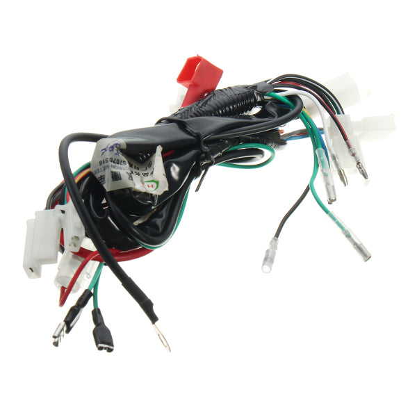 Electric Engine Start Wiring Loom Harness Pit Bike Motorcycle ATV Quad 70cc 90cc 110cc 125cc