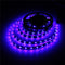 WS2811 5M 240 SMD 5050 LED Strip RGB Dream Color Light Non Waterproof DC 12V