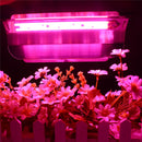 Full spectrum 50W COB Plant Grow Hydroponi Iodine Light Floodlight Waterproof AC110V / 220V