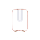 Hydroponic Plants Flower Wrought Iron Vase Decoration Transparent Glass Test Tube Hydroponic Dried Flower Stand