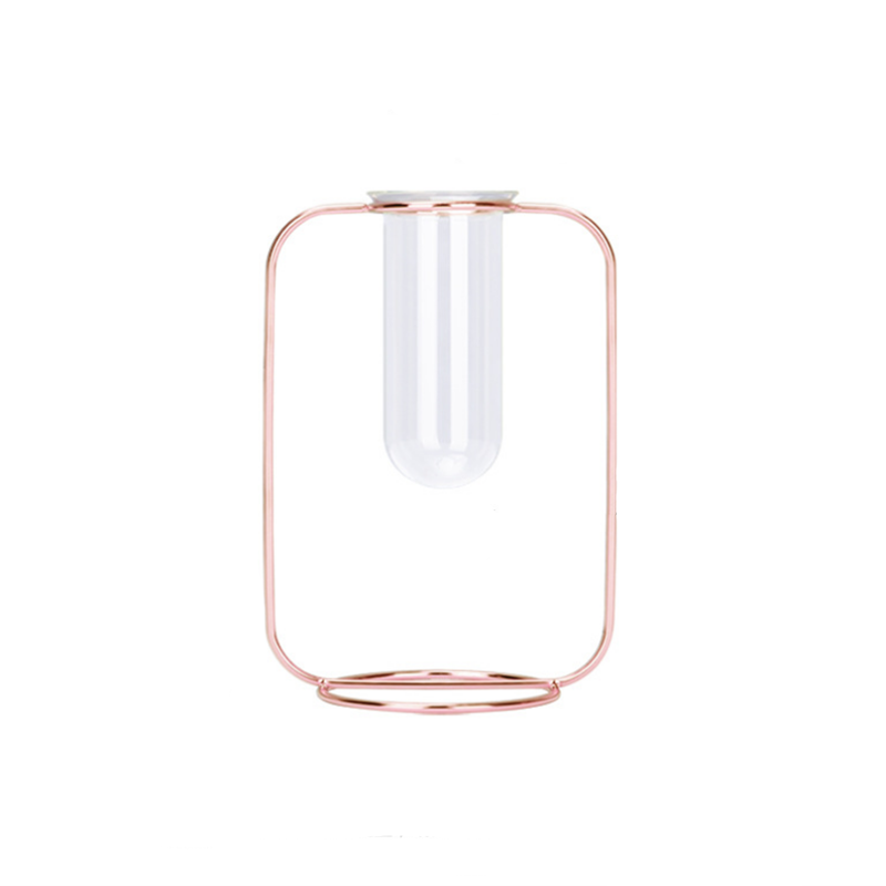 Hydroponic Plants Flower Wrought Iron Vase Decoration Transparent Glass Test Tube Hydroponic Dried Flower Stand