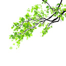 60x58cm Frosted Opaque Glass Window Film Tree Privacy Glass Stickers Home Decor