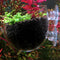 Mini Red Shrimp Aquatic Plant Crystal Glass Pot for Aquarium Cup Holder Tank Fish Tank