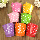 Mini Polka Dot Iron Sheet Flower Pot Flower Potted Plant Flowerpot Garden Decoration