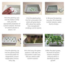 220V 24 Holes Hydroponic System Kit Indoor Aerobic Soilless Cultivation Water Planting Grow Box