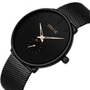 STRYVE S9501 Fshion Men Simple Dial Full Mesh Steel Strap Independent second Dial Quartz Watch