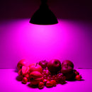 30W E27 LED Grow Light Bulb Plant Lamp for Flower Seeds Growing Hydroponics AC85-265V