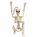 Creepy Human Skeleton Skull Figurine Scary Halloween Skeleton Prop Party Decorations