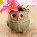 Garden Ceramic Owl Succulent Plants Flower Pot Mini Plant Planters Home Garden Decor