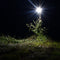 Sofirn LL603 LED Flood Light 10W Worklight LED COB Chip Floodlight Spotlight Outdoor Search Flashlight USB Rechargeable Warning Light