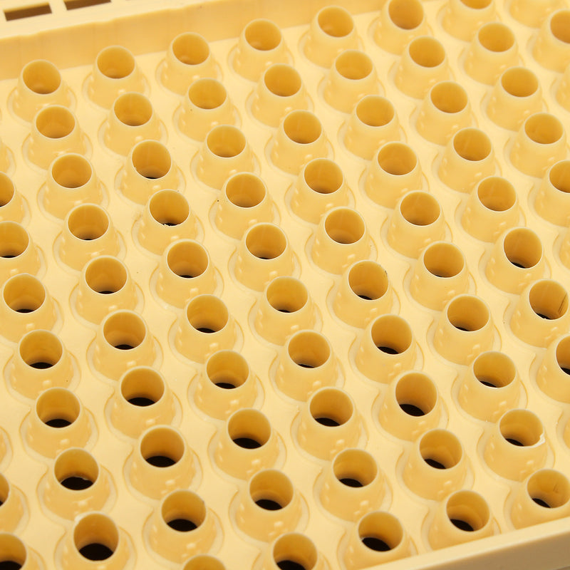 Bee Queen Rearing Cell Cupkit Box Case For Cupularve System Beekeeping Tools Set