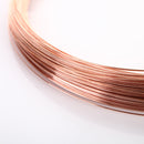 5Pcs Diameter 0.4 mm Copper Wire Line T2 Copper Red Copper Line Bare Wire 99.90%