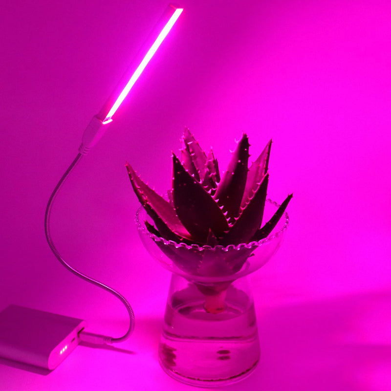 5V 2.5W 10 Red 4 Blue Portable USB LED Plant Grow Lamp for Home Office Garden Greenhouse