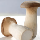Egrow 50Pcs/Pack Mushroom Seeds Garden Planting Edible Pleurotus Eryngii Seeds Vegetable Seeds