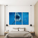 Miico Hand Painted Three Combination Decorative Paintings  White Shark Wall Art For Home Decoration