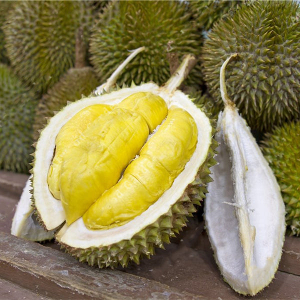 Egrow 5Pcs/Bag Durian Tree Seeds Delicious King Of Fruit Seeds High-nutrition Rare Bonsai Seeds