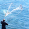ZANLURE 2.4M Fishing Net Nylon Monofilament Mesh Gill Easy Throw Casting Fishing Tool Fishing Net