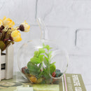 Crystal Glass Flower Vase Terrarium Container Micro Landscape Glass Bottles Decor