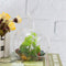 Crystal Glass Flower Vase Terrarium Container Micro Landscape Glass Bottles Decor
