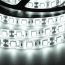 2PCS 5M SMD5050 Waterproof LED Strip Light RF Touch Dimmer+10A Power Adapter Kit DC12V