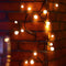 Tree Vine Lamp Copper Wire String Flexible LED Mains Socket Micro Silver Wire Copper Fairy String Light