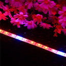 5PCS 50CM R:B 5:1 SMD5050 LED Strip Grow Light Hydroponic Indoor Veg Flower Plant Lamp DC12V