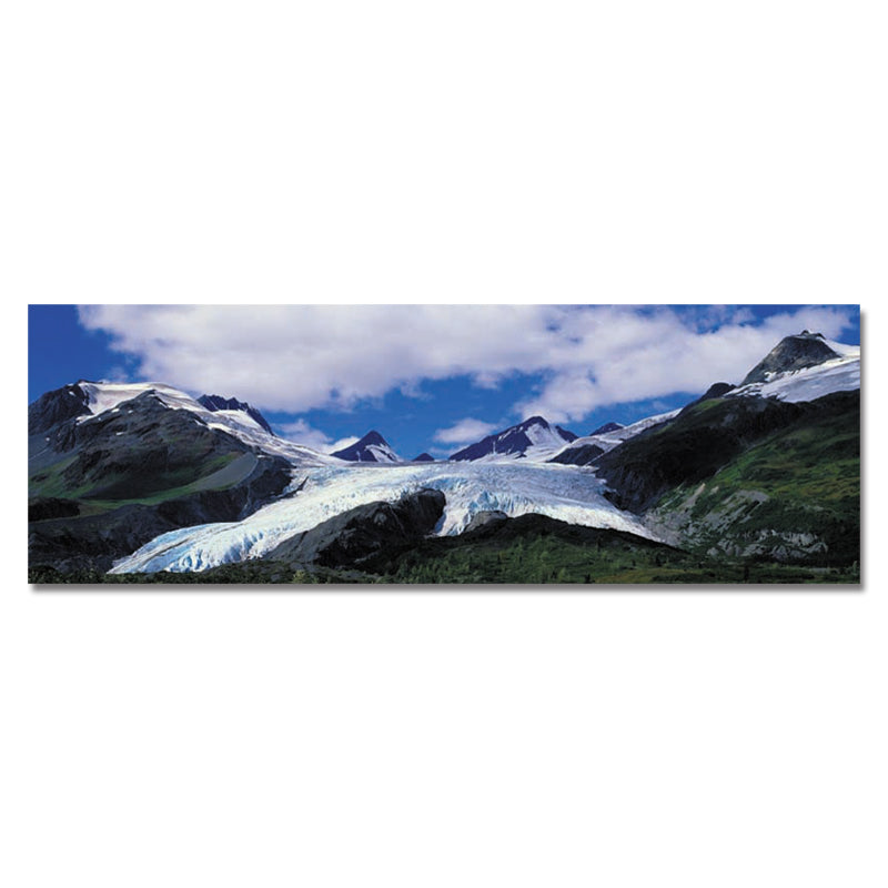 DYC 10360 Single Spray Oil Paintings Photography Snow Mountain For Home Decoration Paintings Wall Art
