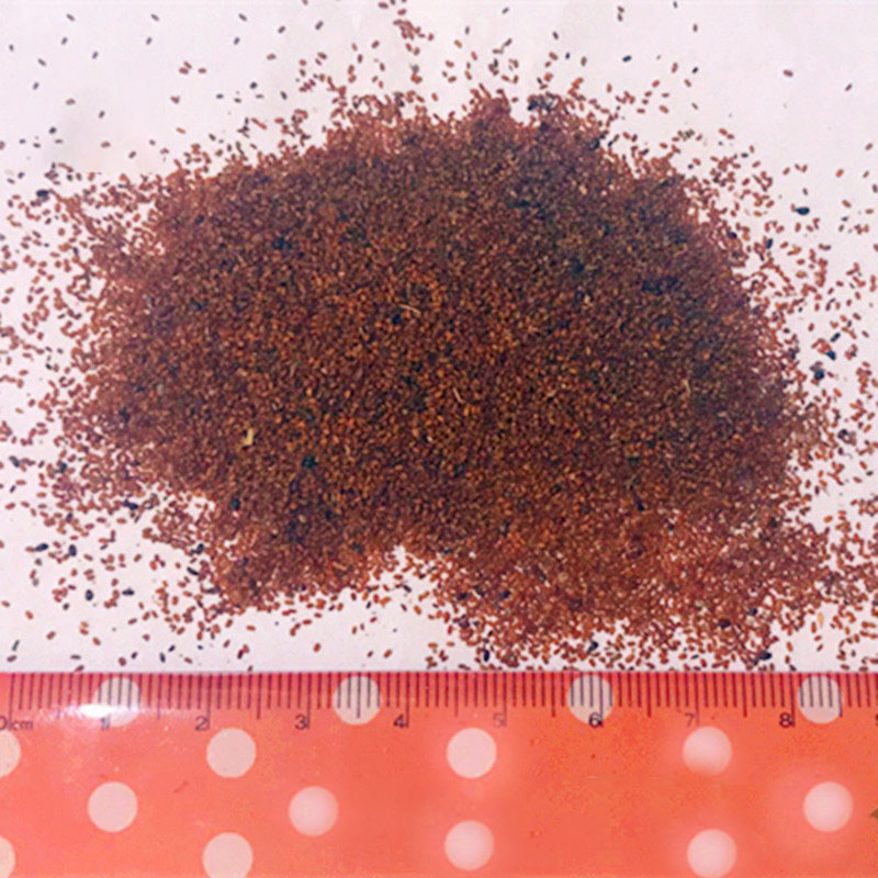 Egrow 100Pcs/Bag Mini Blue Lithops Seeds Rare Succulent Potted Bonsai Flower Seed