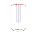 Hydroponic Plants Flower Wrought Iron Vase Decoration Transparent Glass Test Tube Hydroponic Dried Flower Stand