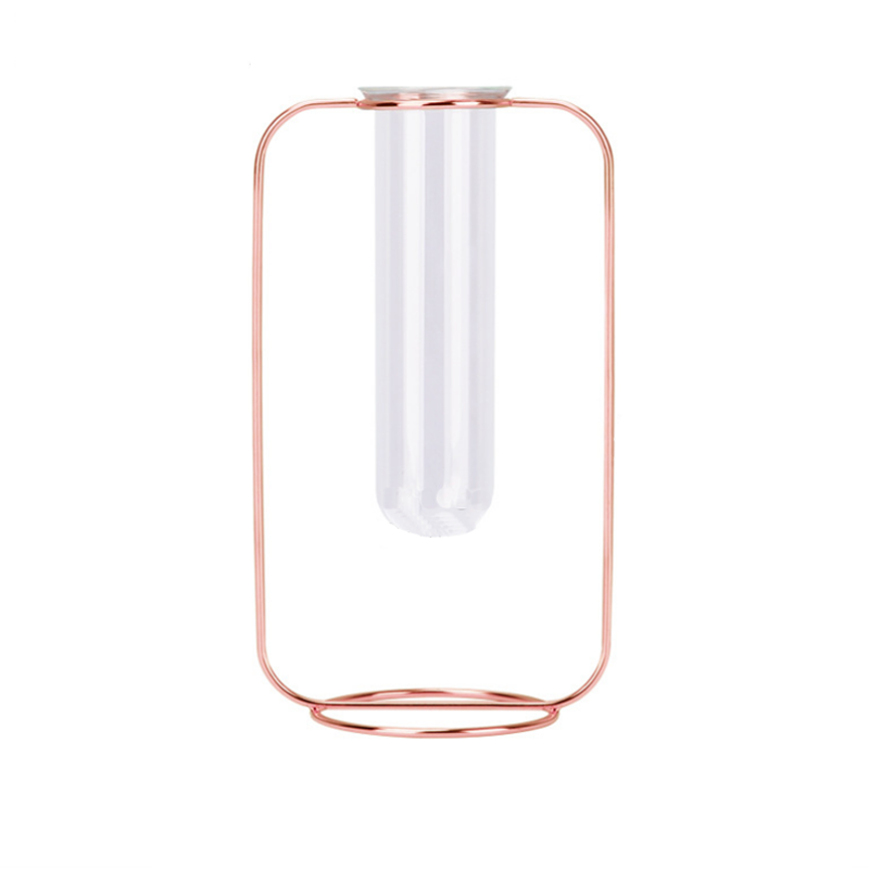 Hydroponic Plants Flower Wrought Iron Vase Decoration Transparent Glass Test Tube Hydroponic Dried Flower Stand