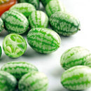 Egrow 50Pcs/Bag Mini Watermelon Seeds Thumb Watermelon Seeds Watermelon Fruit Seeds Indoor Plants