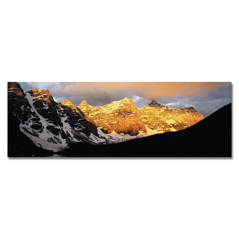 DYC 10352 Single Spray Oil Paintings Golden Snow Photography For Home Decoration Paintings Wall Art