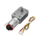 GM4632-370 DC 24V 80RPM High torque Turbo Encoder Motor Worm Geared Motor Reducer Motor