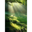 3x5ft Vinyl Spring Forest Sunshine Photography Backdrop Background Studio Prop