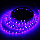 5M 90W 300SMD WS2812B LED RGB Colorful Strip Light Waterproof IP65 White/Black PCB DC5V