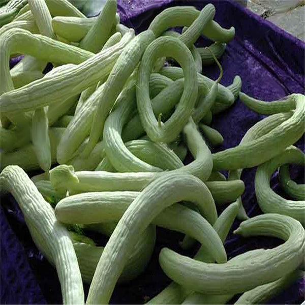 Egrow 50 Pcs/Bag Giant Long Green Cucumber Seeds Crisp Sweet Fruit Organic Vegetable Seed