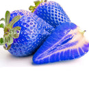 500PCS Blue Strawberry Seeds Heirloom Super Strawberry Garden Seeds Garden Climbing Plant